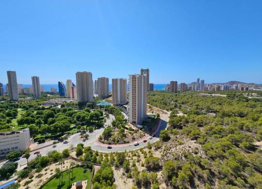 Apartment / flat - Resale - Benidorm - Benidorm