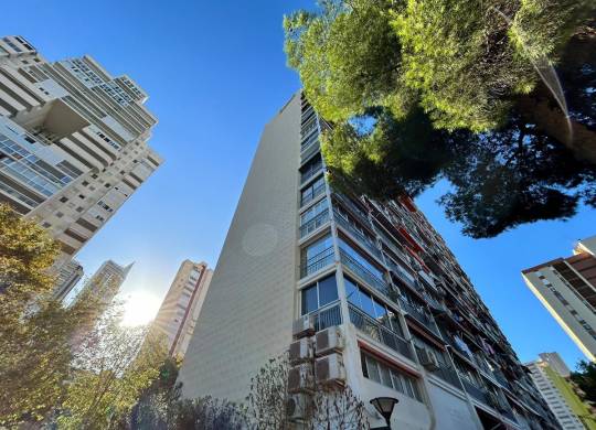 Apartment / flat - Resale - Benidorm - Benidorm