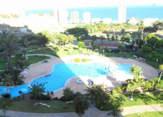 Apartment / flat - Resale - Benidorm - Benidorm