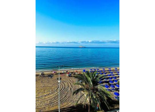 Apartment / flat - Resale - Benidorm - Benidorm