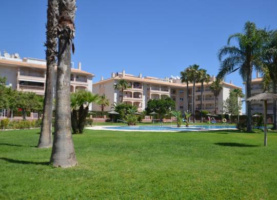 Apartment / flat - Resale - Playa Flamenca - Playa Flamenca