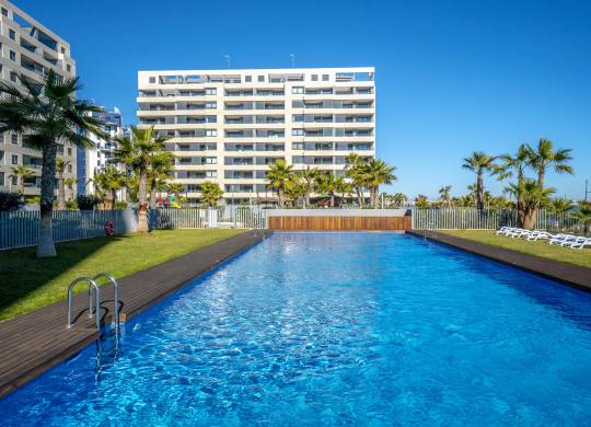 Apartment / flat - Resale - Torrevieja - A-66701