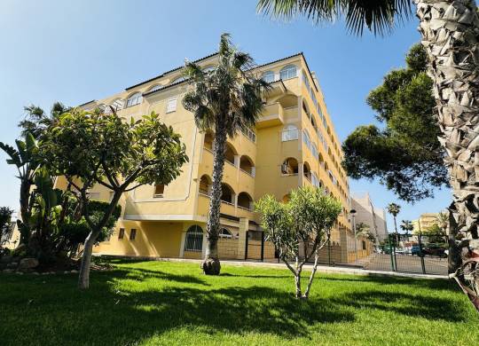 Apartment / flat - Resale - Torrevieja - Torrevieja