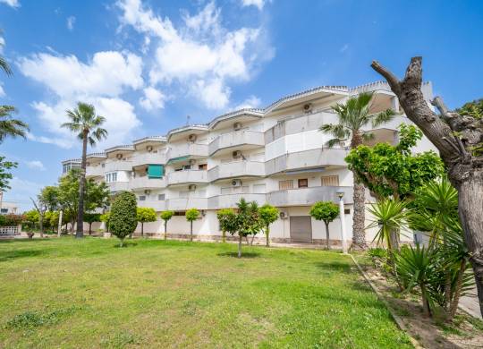 Apartment / flat - Venta - Orihuela Costa - Cabo Roig 
