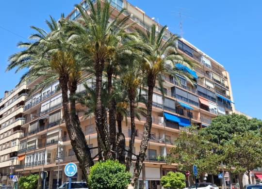 Apartment / flat - Venta - Orihuela - Zona Centro