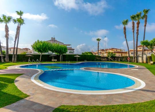 Apartment / flat - Venta - Playa Flamenca - Playa Flamenca