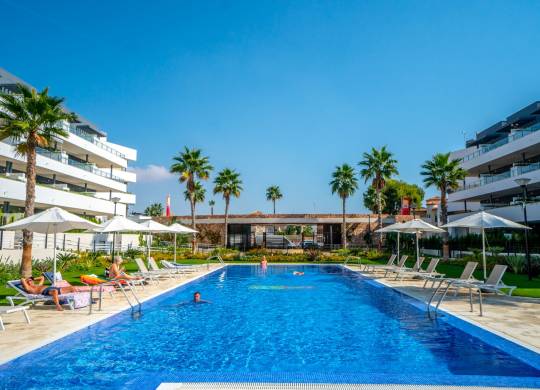 Apartment / flat - Venta - Playa Flamenca - Playa Flamenca