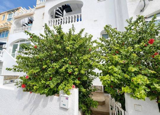 Apartment / flat - Venta - San Miguel de Salinas - Las filipinas