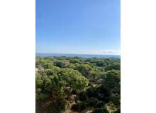 New Build - Apartment / flat - Guardamar del Segura