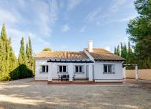 New Build - Villa / Semi detached - Fuente Alamo