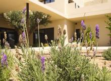 New Build - Villa / Semi detached - La Marina