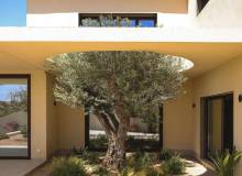 New Build - Villa / Semi detached - La Marina