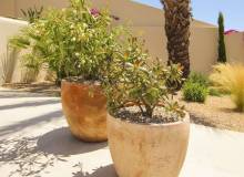 New Build - Villa / Semi detached - La Marina
