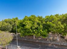 New Build - Villa / Semi detached - Pilar de la Horadada