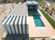 New Build - Villa / Semi detached - Pinoso