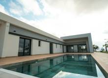 New Build - Villa / Semi detached - Pinoso