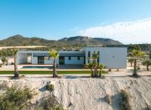 New Build - Villa / Semi detached - Pinoso
