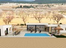 New Build - Villa / Semi detached - Pinoso