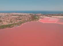 Nueva construcción  - Apartment / flat - Torrevieja