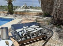 Nueva construcción  - Town House - San Javier