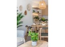 Nyproduktion - Villa / Parhus - Los Alcázares