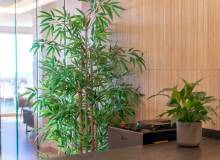 Resale - Apartment / flat - Altea