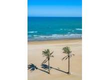 Resale - Apartment / flat - Guardamar del Segura - Guardamar