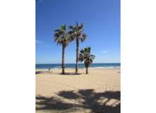 Resale - Apartment / flat - La Mata