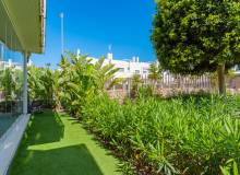 Resale - Apartment / flat - Montesinos - Los Montesinos