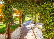 Resale - Apartment / flat - Torrevieja - Punta Prima