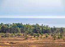 Resale - Apartment / flat - Torrevieja - Punta Prima