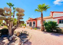 Resale - Detached Villa - Daya Vieja