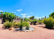 Resale - Detached Villa - Daya Vieja