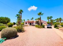 Resale - Detached Villa - Daya Vieja
