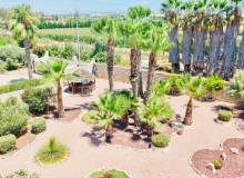 Resale - Detached Villa - Daya Vieja