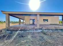 Resale - Finca / Country Property - Elche - Matola