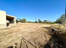 Resale - Finca / Country Property - Elche - Matola