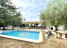 Resale - Finca / Country Property - Orihuela - Orihuela Costa