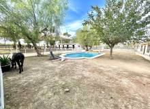Resale - Finca / Country Property - Orihuela - Orihuela Costa