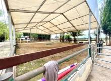 Resale - Finca / Country Property - Orihuela - Orihuela Costa