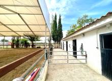 Resale - Finca / Country Property - Orihuela - Orihuela Costa