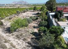 Resale - Finca / Country Property - Orihuela