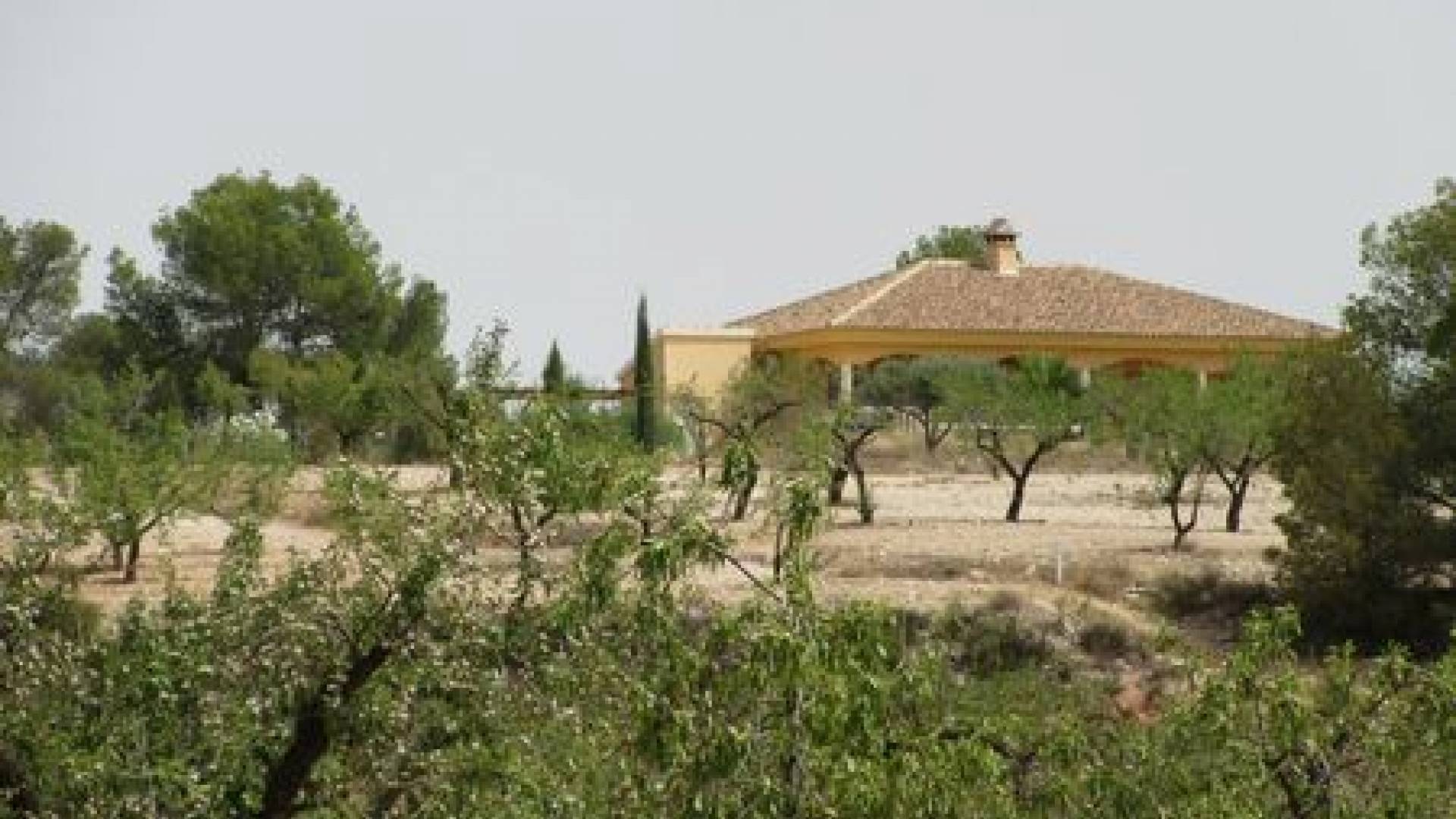 Resale - Land - Murcia