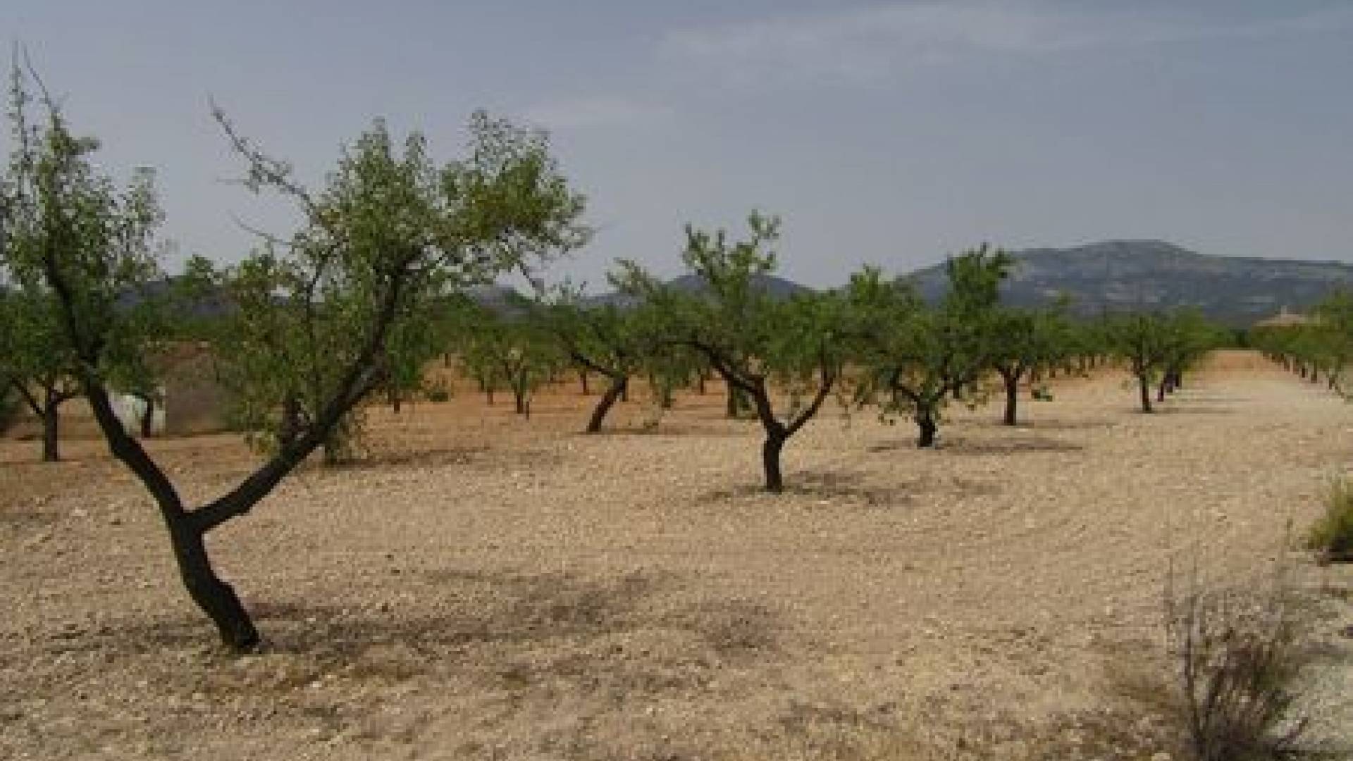 Resale - Land - Murcia
