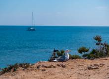 Resale - Radhus - Santa Pola C