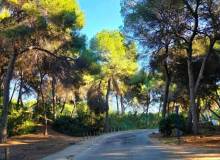 Resale - Villa / Parhus - Dehesa de campoamor - Campoamor
