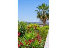 Resale - Villa / Parhus - La Marina