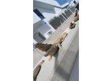 Resale - Villa / Parhus - Orihuela - Entre Naranjos Vistabella Golf