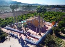 Resale - Villa / Parhus - Orihuela - Orihuela Costa