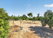 Resale - Villa / Semi detached - Elche C